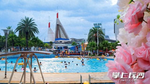“鲸”喜七夕！长沙海底世界等你来解锁海洋浪漫新体验