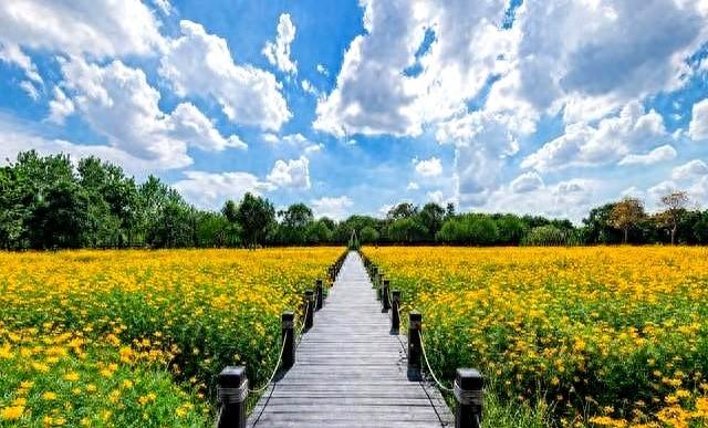 我今年56岁才顿悟！男人没了女人就2个字	，女人没了男人就4个字！