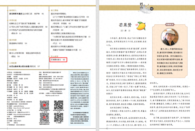 巴山夜雨 | 芒果赞