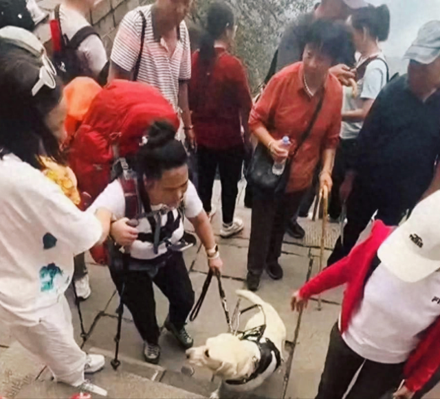 爬泰山的作死夫妻被制裁！导盲犬被收回，身份被扒，家里还有一只