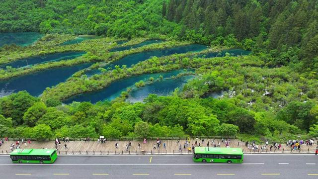 九寨沟和黄龙景区门票同日售罄，阿坝避暑游进入高峰期