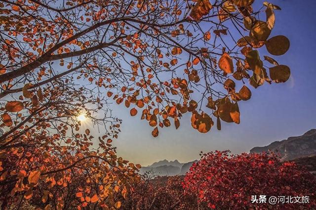 七大主题板块，尽览多彩太行！沕沕水金秋文化旅游季开始啦