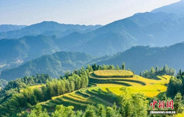 江西遂川赴穗开展文旅招商推介 展示茶乡魅力