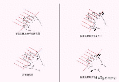 指尖上的钢琴攻略（新手必看钢琴演奏手指练习全攻略）