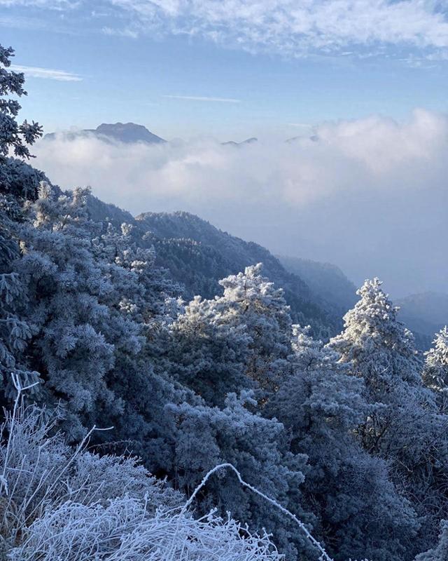 去临安太子尖看云海雾凇，出发前先查查“临安旅游天气通”小程序