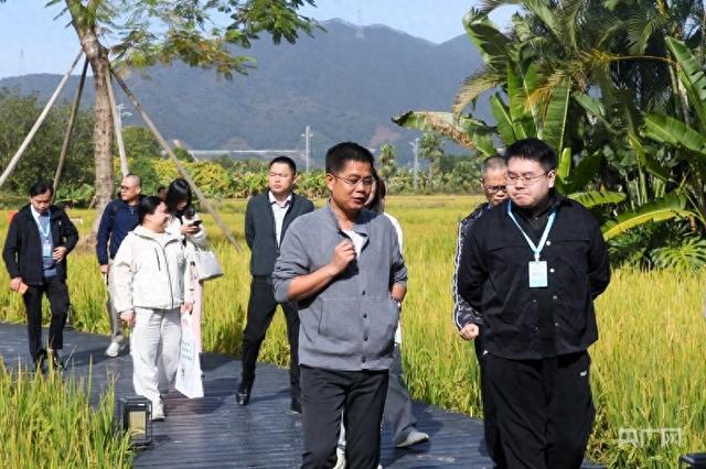 高质量发展看中国｜让乡村更美、让老街更亮、让城市更热！清远的城乡焕新之旅