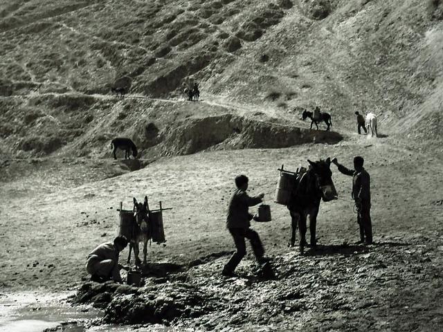 陕西古道 | 寻觅盐马古道（上）