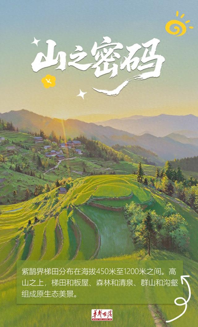 【AI海报】紫鹊界，讲给世界的密语