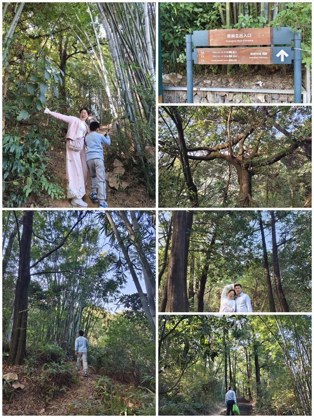 周末去哪儿（53）——乐游黄埔黄麻村，登山看景，享受徒步之乐