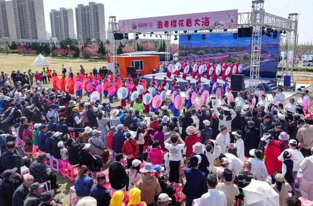 回味2025 | 这一年，“文化菜单”超丰盛！