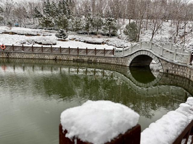 瑞雪飘然而至中国海滨城市青岛