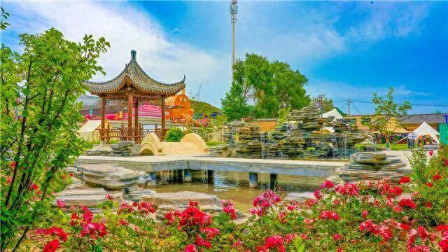 “新”动新区，这份「青春漫游指南」请查收！