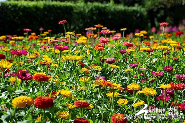 大同：以“清凉夏都”之名，邀您共赴夏日清爽之约