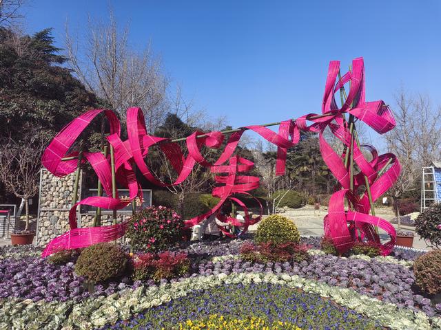 梅绽绿荫春意近，枝横金蕊暗香萦 —郑州绿荫公园蜡梅展启幕