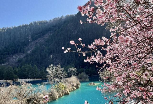 3-4月春游宝地，这6个地方，风景繁密，适合踏春