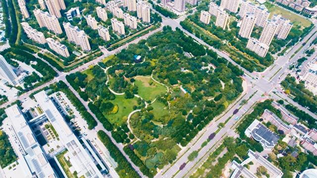 济宁避暑胜地：任城森林公园