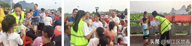 百朋镇荷花文化旅游季：禁毒宣传与美景同行