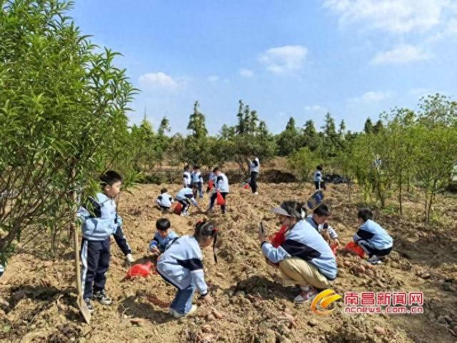 农场游“出圈” 开启文旅消费新风尚