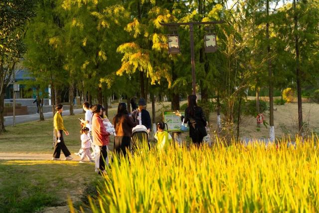 就现在，一起去南山公园遛弯~