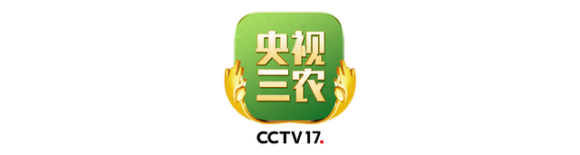立秋，如何科学贴秋膘？别只盯着肉吃！