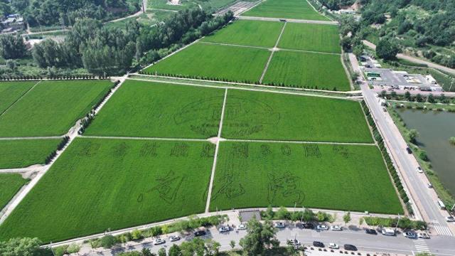 铭记历史 缅怀先烈丨陕西延安：昔日抗战后方 今朝发展动能澎湃