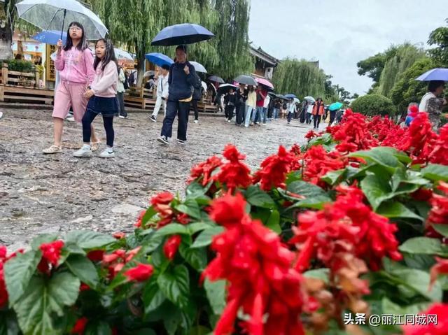 谁说雨天不适合旅行？丽江古城的雨季，才是打开浪漫的正确方式