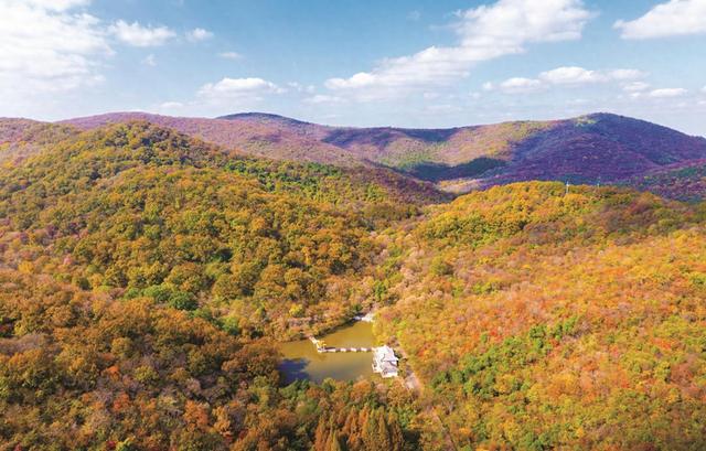 橙黄叠翠满琅琊