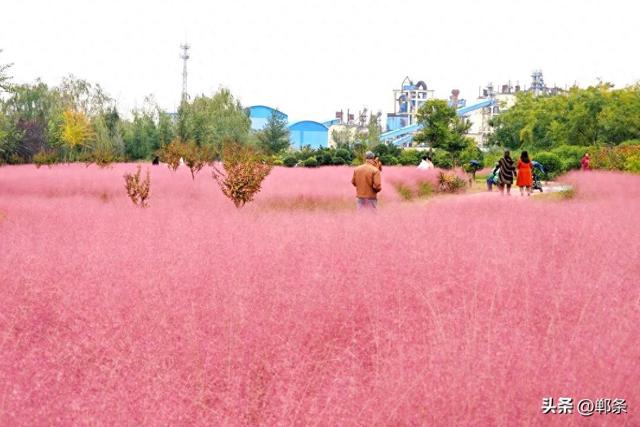 峰峰秋日“宠粉”已上线