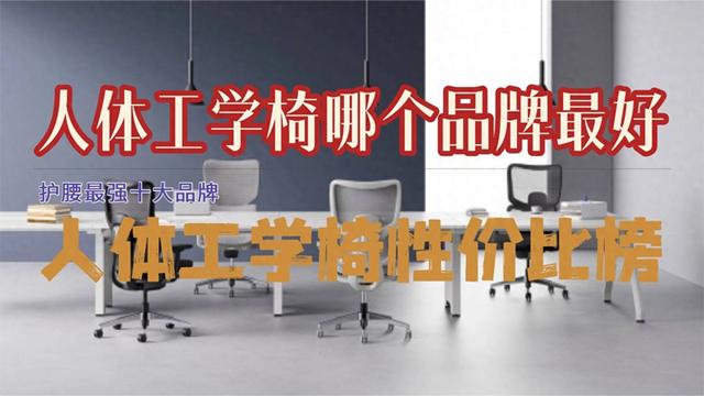 s3a优化（人体工学椅哪个品牌最好护腰最强十大品牌人体工学椅性价比榜）