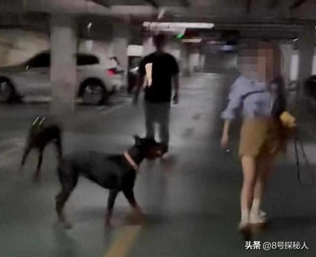 江苏杜宾犬飞扑幼童：事情已了结，当地人透露更多，女子身份可疑