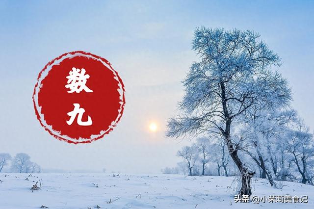 “公九冰上走，母九穿单衣”，2025年是公九还母九？冬天会很冷吗