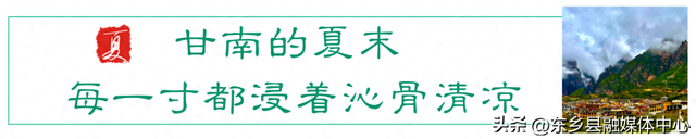 甘南的夏末 每一寸都浸着沁谷清凉