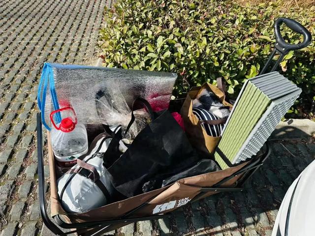 一场露营手记：在劳作与闲适之间