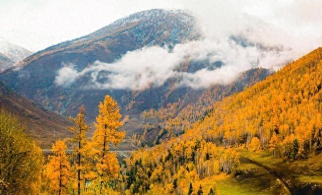 11月最值得去的7个最美旅行地，都是秋游宝藏地，你最想去哪个？