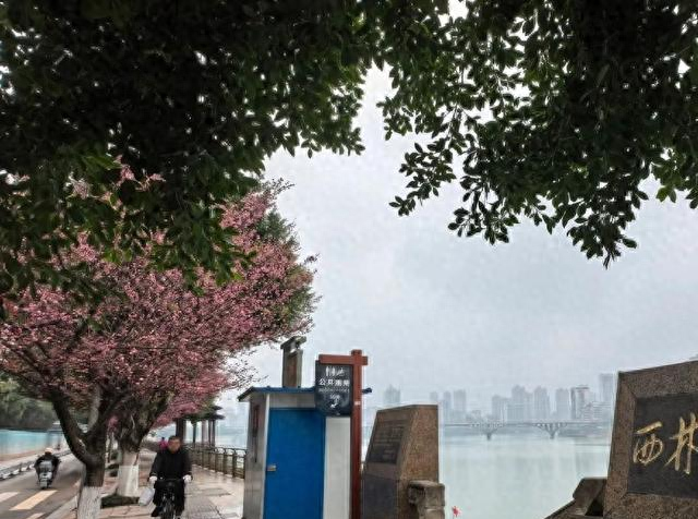 内江又一生态湖区走红！人少景美堪称 “小洱海”，停车方便还免费