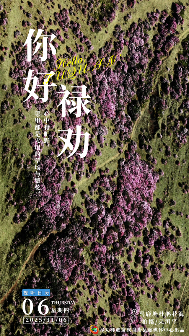 你好·禄劝丨心中有旷野，哪里都是无垠的草场和繁花