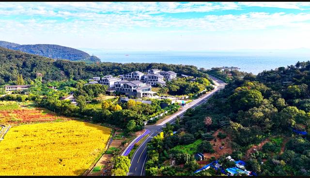 桂香漫马山，彰德的秋日浪漫……