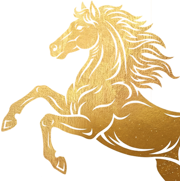 静海区“健身大拜年”即将启动，冰雪趣味赛邀您一起动起来！