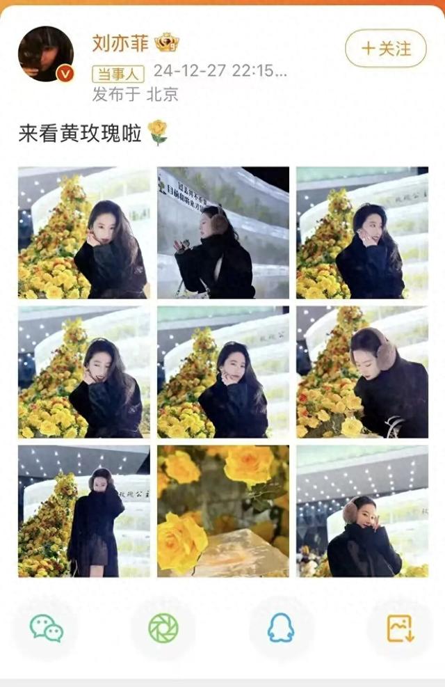 曾被刘亦菲打卡！“冰封玫瑰4.0”新版开建，解锁12处主题打卡点