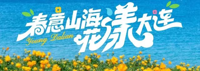 今日启动!大连面向全球“上链接”!