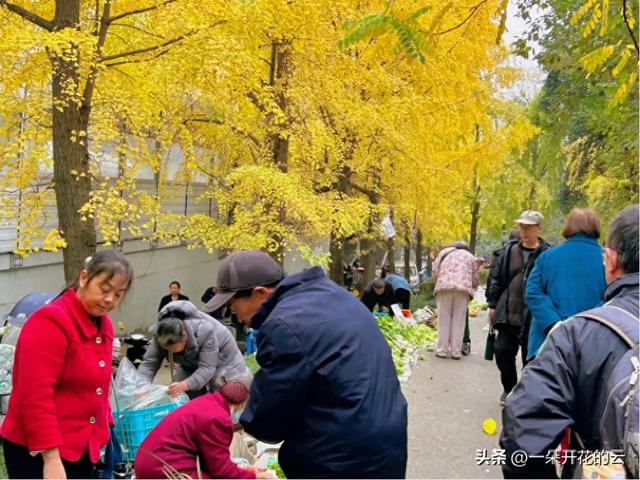 成都“最高级买手店”藏在立交桥下：银杏叶是顶棚，生活是爆款