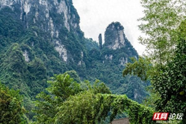 秋游时刻丨吉首夯腊：喀斯特与峒河的秘境交响
