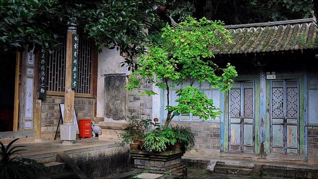 明代白龙寺，徐霞客到此一游，百年茶花，白龙盘锯而成潭