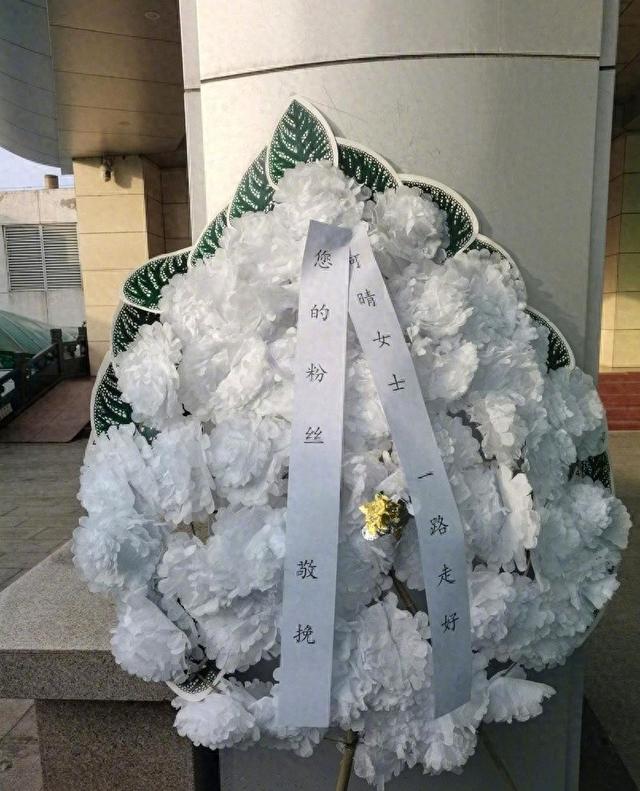 何晴告别仪式临时对外开放，儿子动情追忆：北京初雪为母亲而下