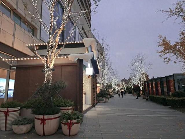 雪屋+萌宠+飘雪！宝山暖冬玩法太绝了~