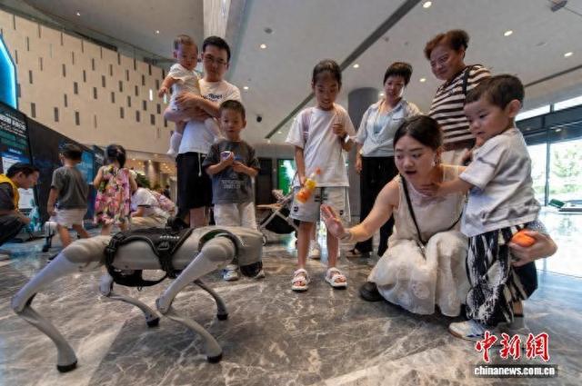 浙江金华：体验科技魅力 乐享暑期生活