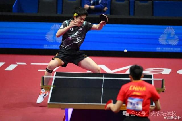 北京先农坛体校祝贺王楚钦摘铜