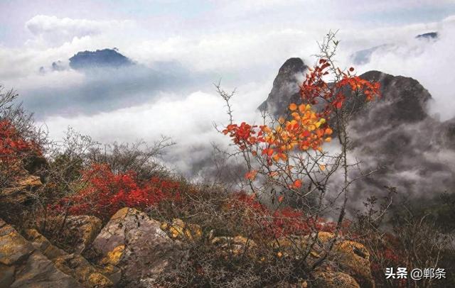 美在邯郸丨涉县太行五指山——浓浓秋意别样景