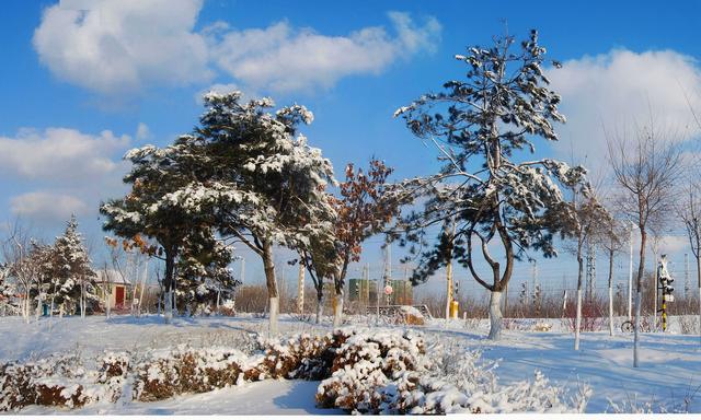雪落人间，美如童话——绝美雪照分享