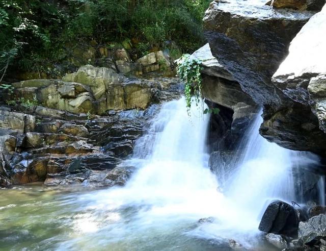 泌阳九龙瀑与池杉林：山水相依的夏日胜景